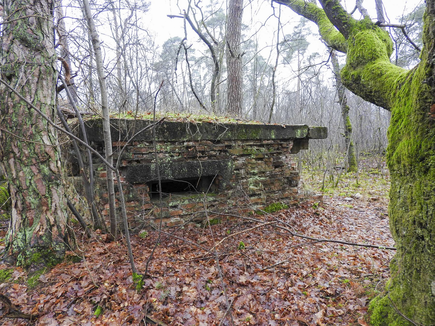 Ligne Maginot - FORLENWALD 2 - (Blockhaus pour arme infanterie) - Le créneau à gauche - STENGER Mathieu