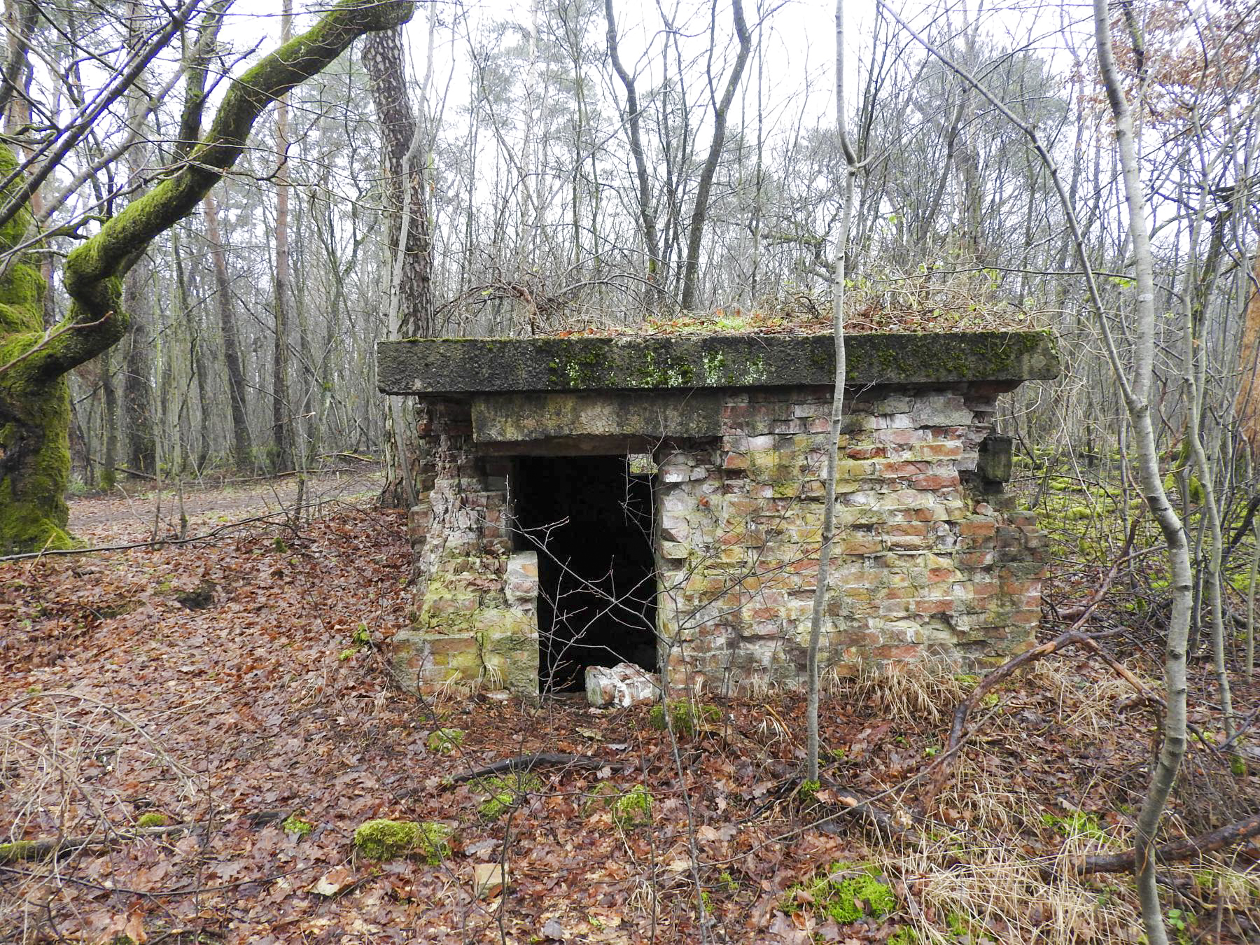 Ligne Maginot - FORLENWALD 2 - (Blockhaus pour arme infanterie) - L'entrée du blockhaus - STENGER Mathieu