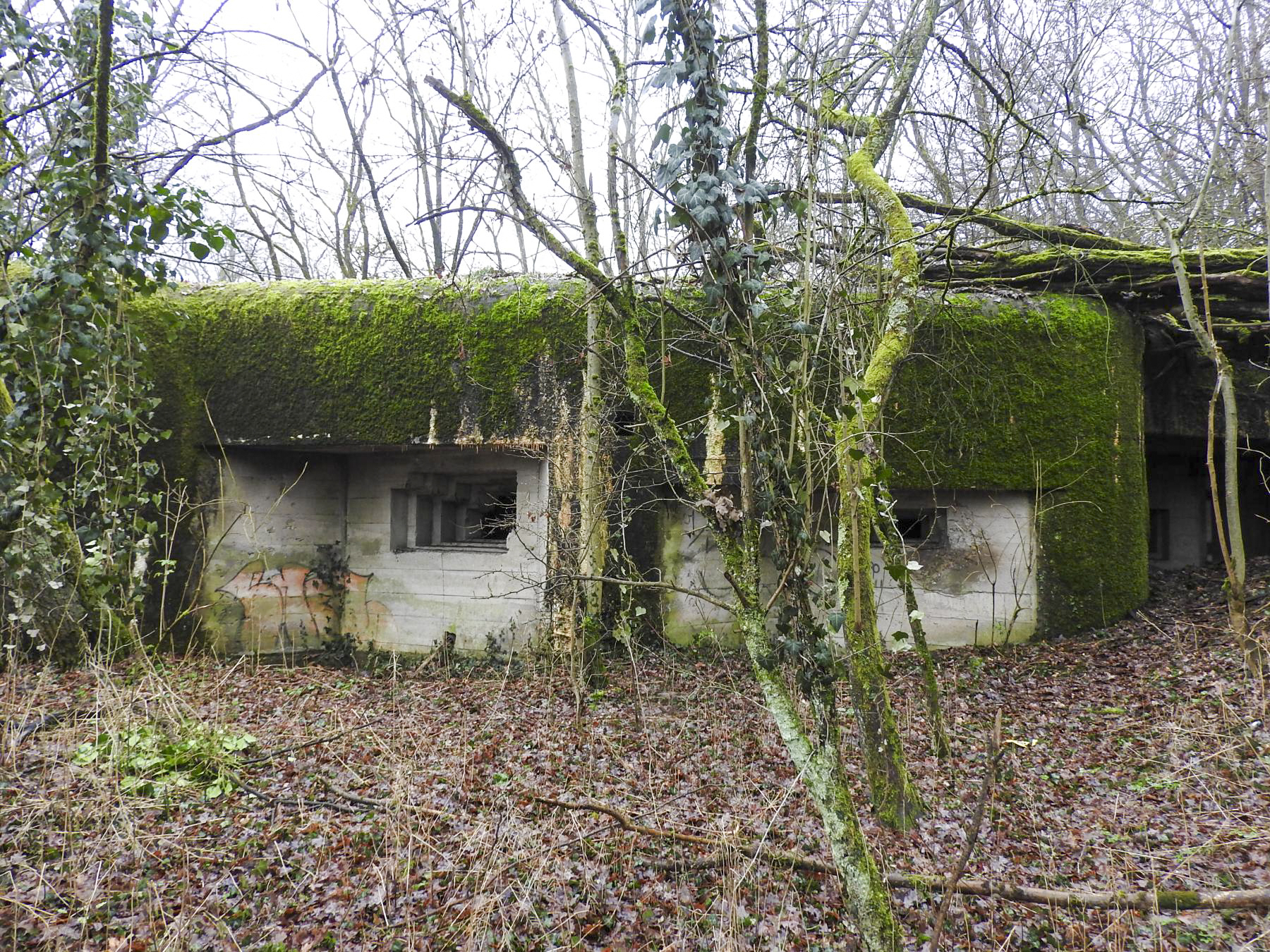 Ligne Maginot - HOLZMISS - (Blockhaus lourd type STG / STG-FCR - Simple) - La façade de tir - STENGER Mathieu