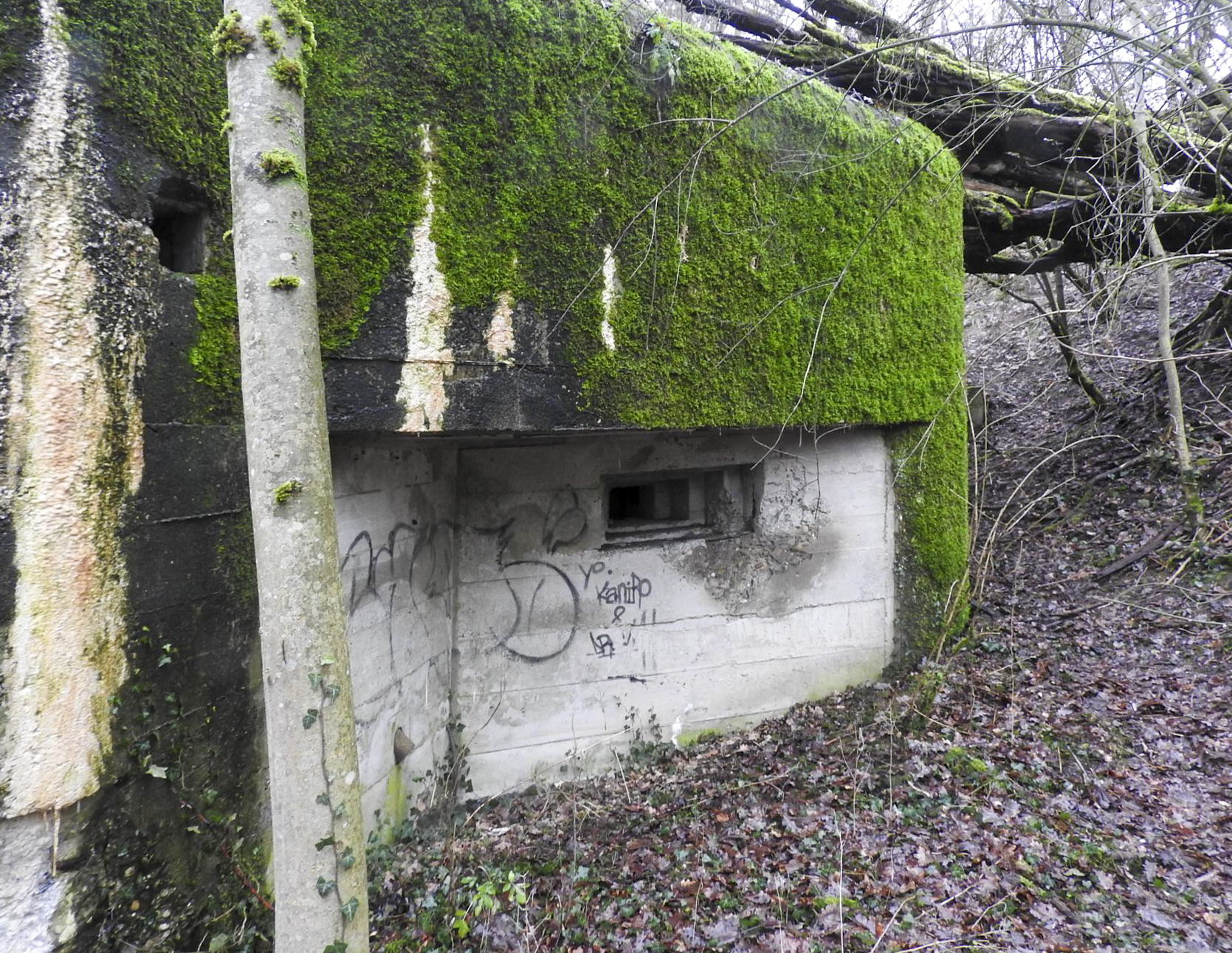 Ligne Maginot - HOLZMISS - (Blockhaus lourd type STG / STG-FCR - Simple) - Le créneaux pour mitrailleuse - STENGER Mathieu