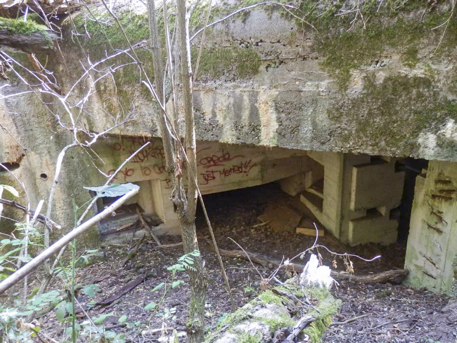 Ligne Maginot - HOLZMISS - (Blockhaus lourd type STG / STG-FCR - Simple) -  - SCHMIDT François