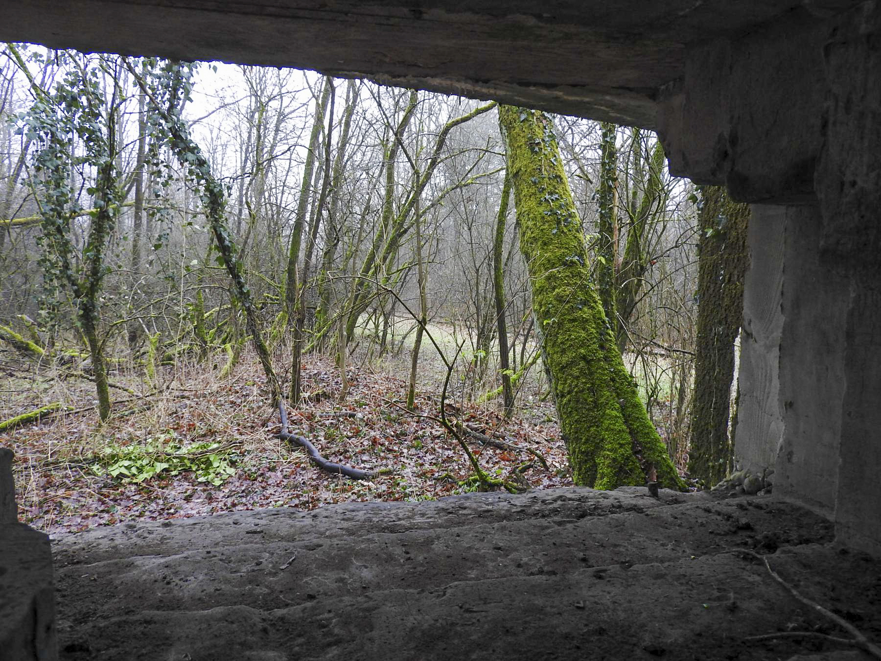 Ligne Maginot - HOLZMISS - (Blockhaus lourd type STG / STG-FCR - Simple) - La vue sur la voie ferrée depuis le créneau AC - STENGER Mathieu