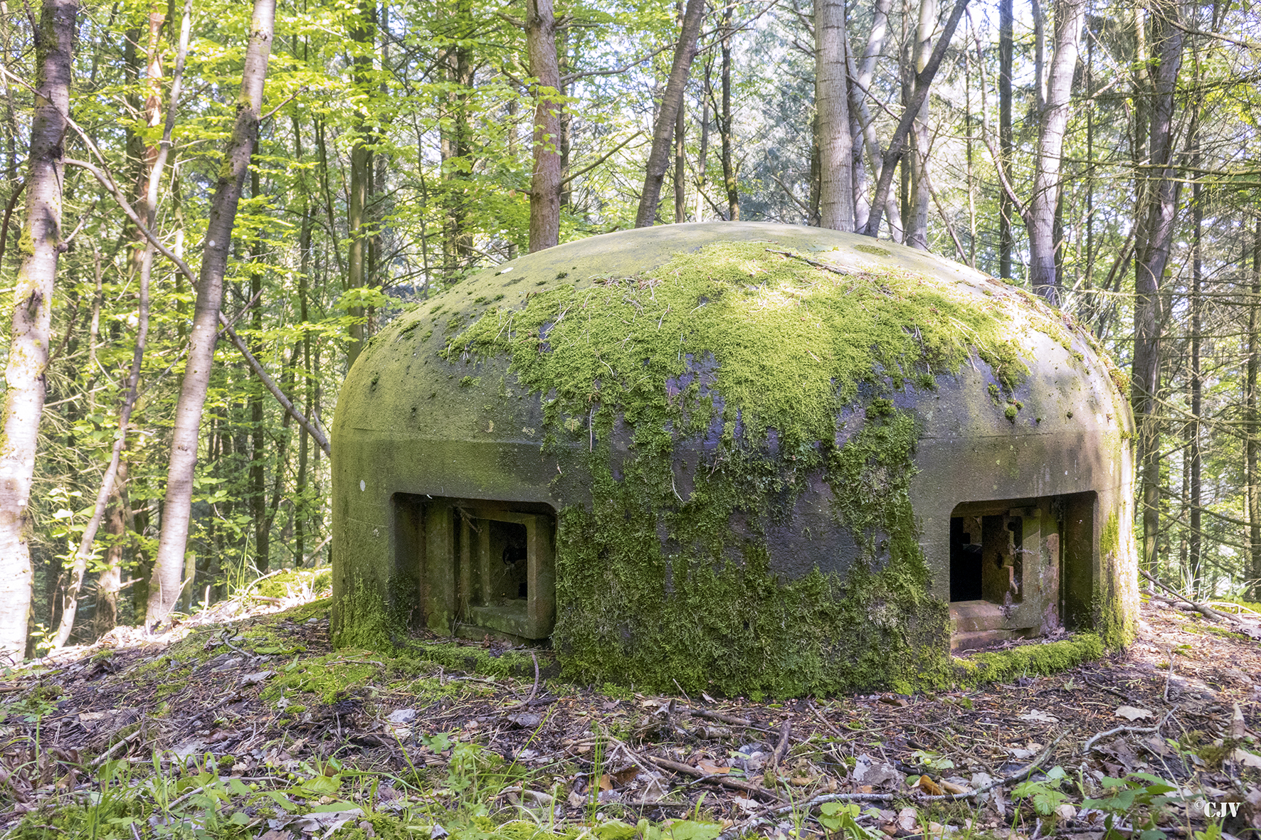 Ligne Maginot - DRACHENBRONN SUD EST - (Casemate d'infanterie) - Cloche GFM - Lia VERMEULEN