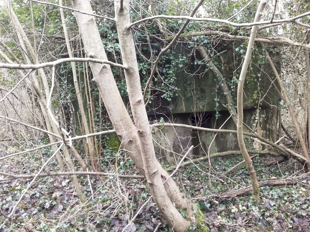 Ligne Maginot - MUEHLBACH 1 (Blockhaus pour arme infanterie) -  - Martz yannick