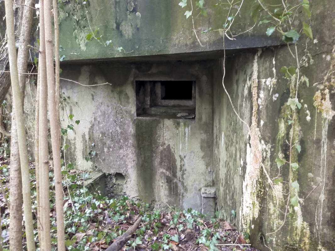 Ligne Maginot - MUEHLBACH 1 (Blockhaus pour arme infanterie) -  - Martz yannick