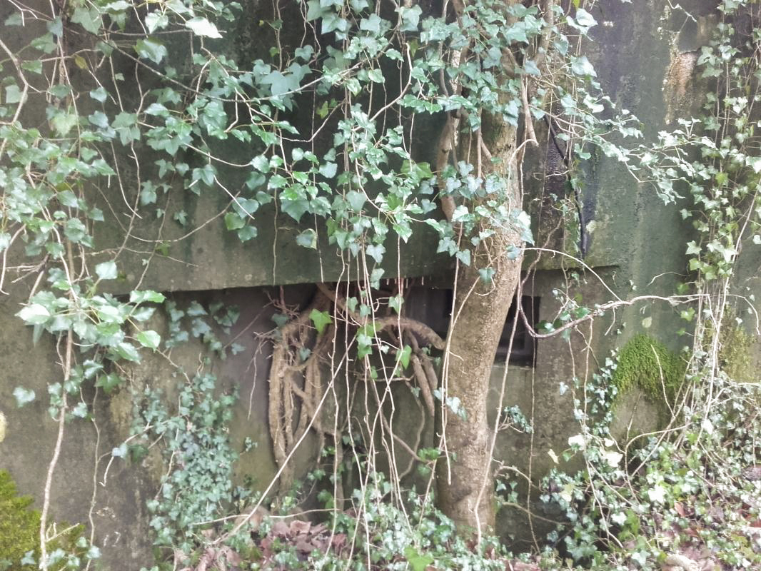 Ligne Maginot - MUEHLBACH 1 (Blockhaus pour arme infanterie) -  - Martz yannick