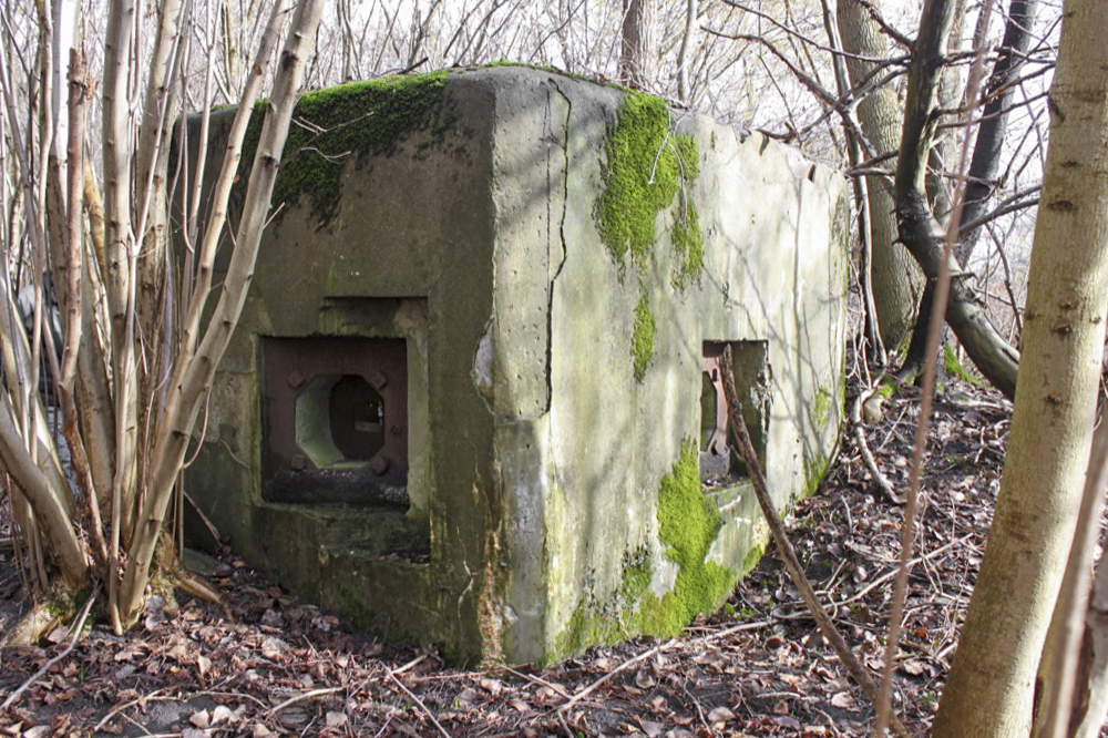 Ligne Maginot - RAMELSHAUSEN 1 (Blockhaus pour arme infanterie) -  - Les Gardiens du Rhin