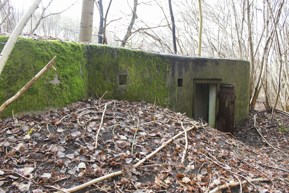 Ligne Maginot - RAMELSHAUSEN 1 (Blockhaus pour arme infanterie) -  - Les Gardiens du Rhin