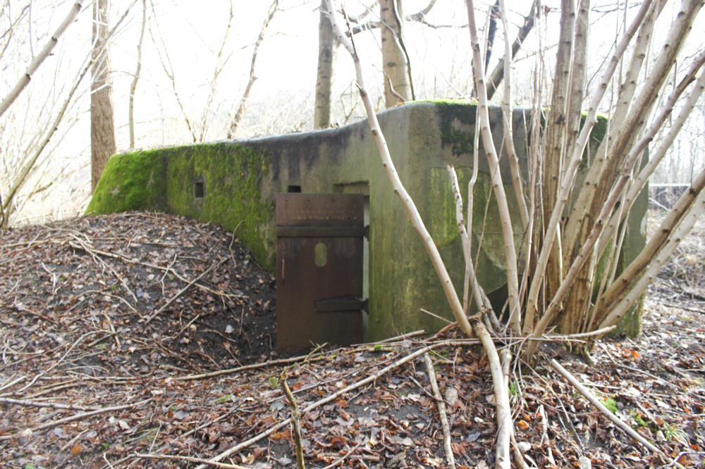 Ligne Maginot - RAMELSHAUSEN 1 (Blockhaus pour arme infanterie) -  - Les Gardiens du Rhin
