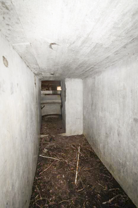 Ligne Maginot - RAMELSHAUSEN 1 (Blockhaus pour arme infanterie) -  - Les Gardiens du Rhin