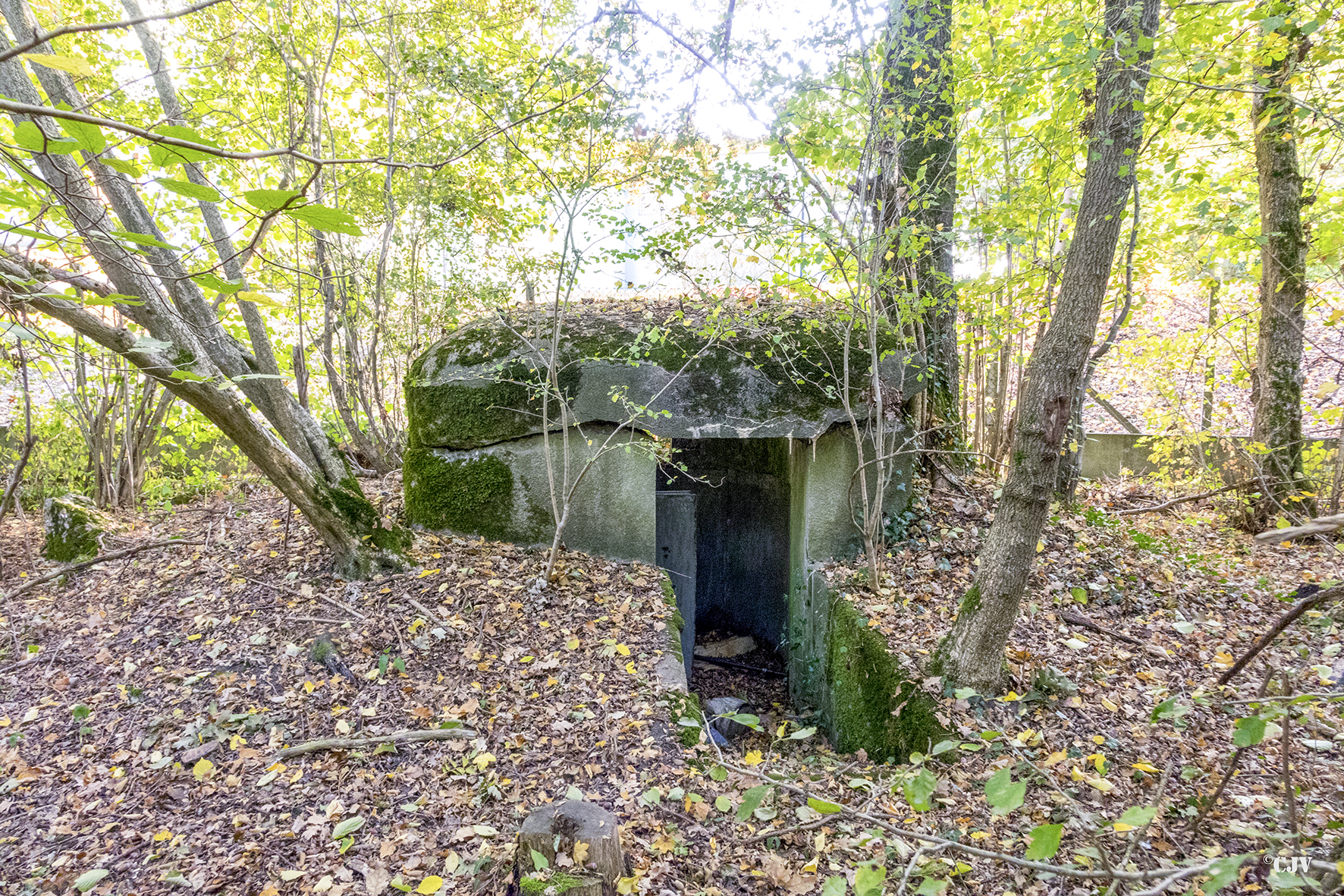 Ligne Maginot - RAMELSHAUSEN 2 - (Blockhaus pour arme infanterie) -  - Lia VERMEULEN