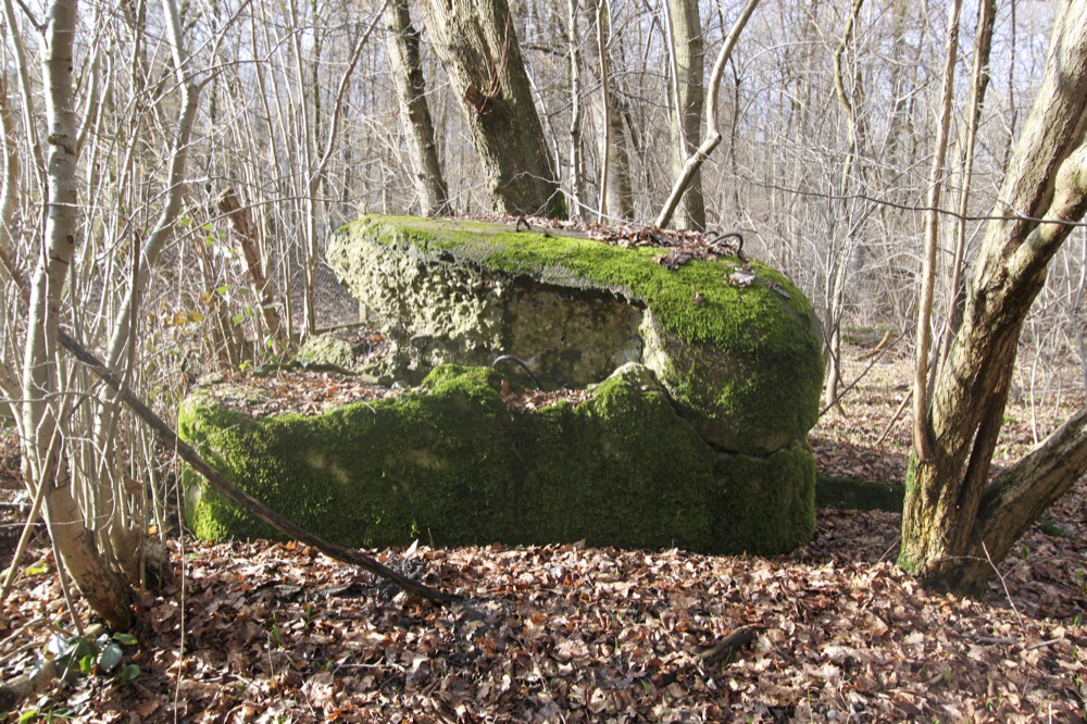 Ligne Maginot - RAMELSHAUSEN 2 (Blockhaus pour arme infanterie) -  - Les Gardiens du Rhin
