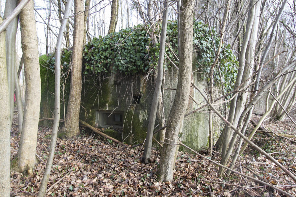 Ligne Maginot - RAMELSHAUSEN 4 (Blockhaus pour arme infanterie) -  - Les Gardiens du Rhin