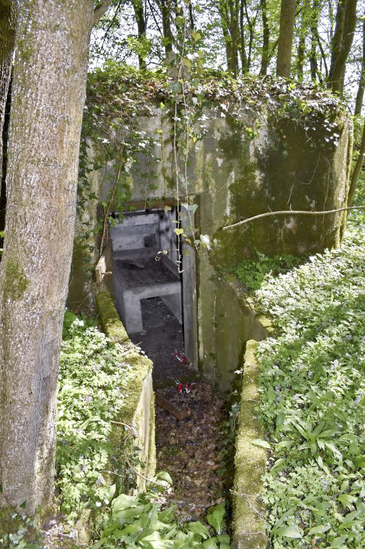 Ligne Maginot - RAMELSHAUSEN 4 (Blockhaus pour arme infanterie) - L'entrée - D. Froehly