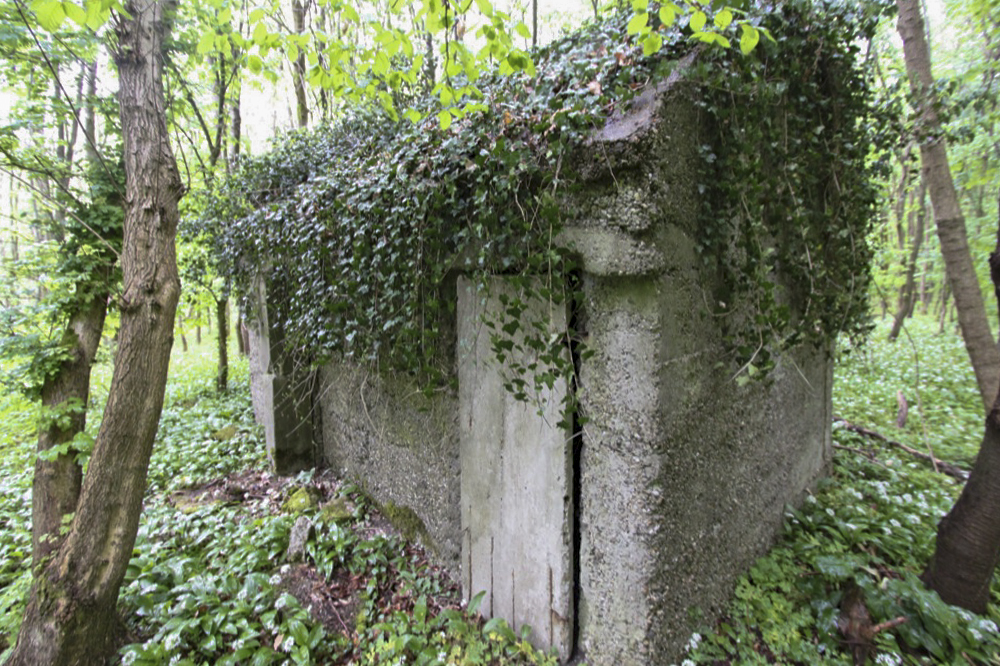 Ligne Maginot - RAMELSHAUSEN 5 (Abri) - Vue générale - Les Gardiens du Rhin