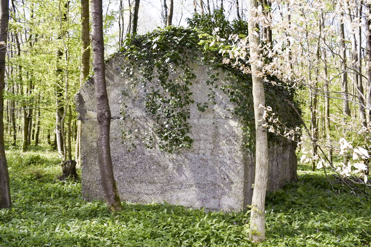 Ligne Maginot - RAMELSHAUSEN 5 (Abri) - Vue générale - D. Froehly