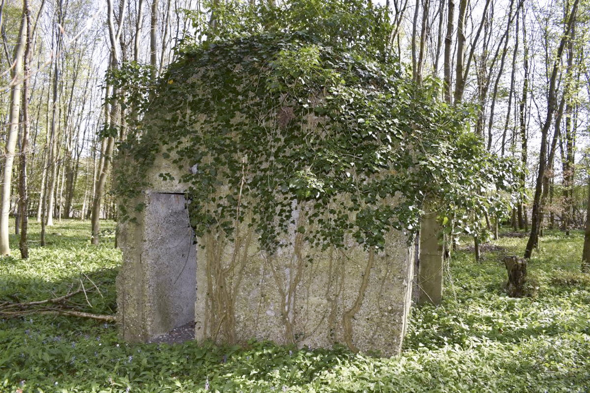 Ligne Maginot - RAMELSHAUSEN 5 (Abri) - Vue générale - D. Froehly