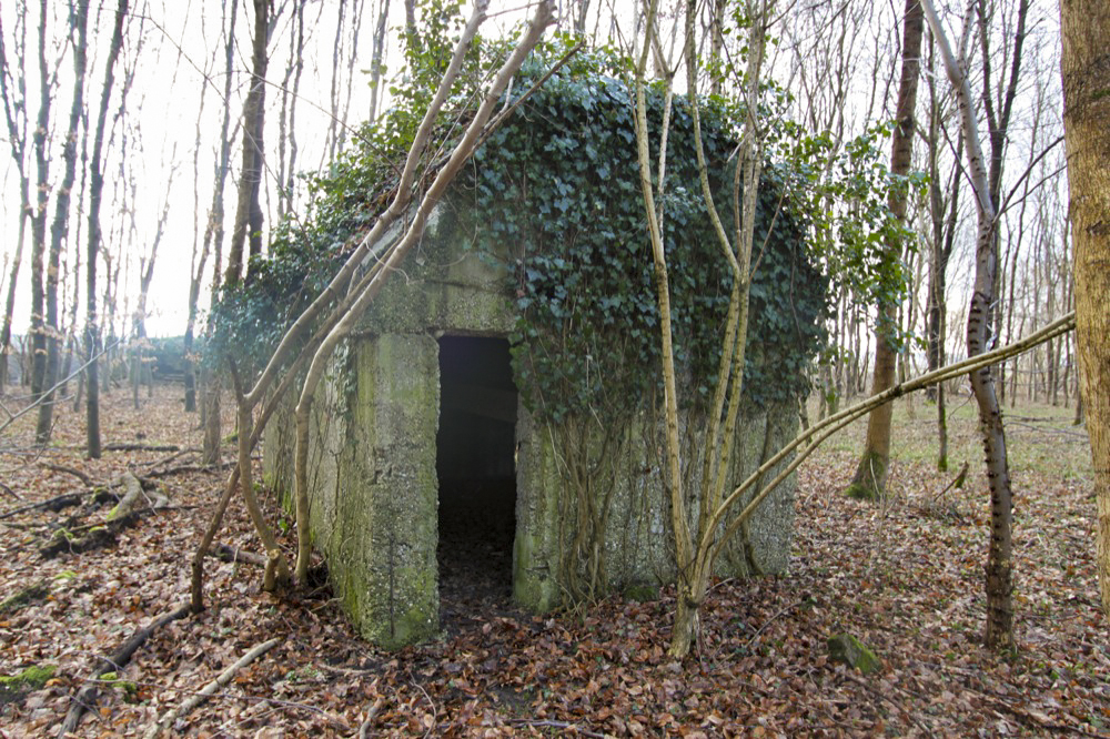Ligne Maginot - RAMELSHAUSEN 5 (Abri) - Vue générale - Les Gardiens du Rhin
