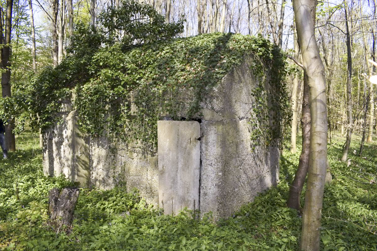 Ligne Maginot - RAMELSHAUSEN 5 (Abri) - Vue générale - D. Froehly