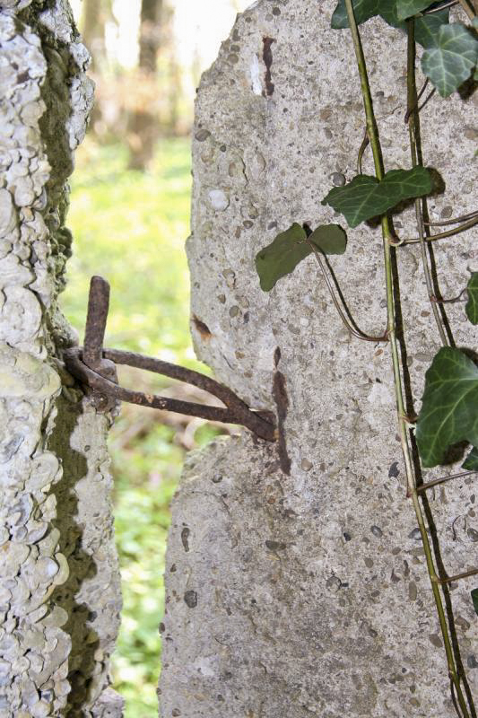 Ligne Maginot - RAMELSHAUSEN 5 (Abri) - Une charnière de la porte en béton subsistante.
Noter le caractère 'improvisé' du montage. - JOLAS, Jean-Michel