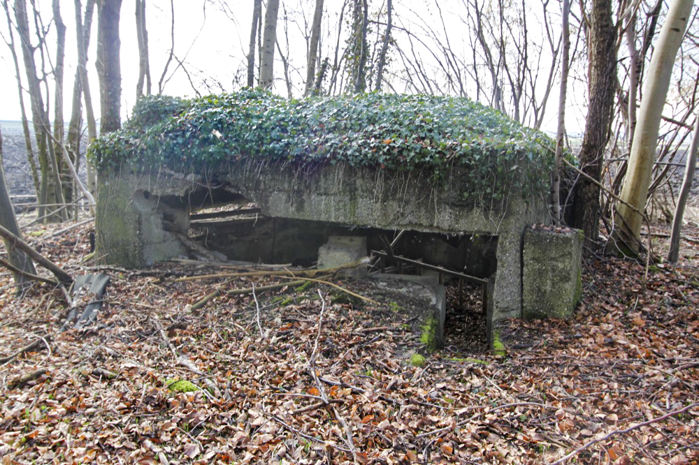 Ligne Maginot - Blockhaus de RAMELSHAUSEN 6 - Vue générale - Les Gardiens du Rhin