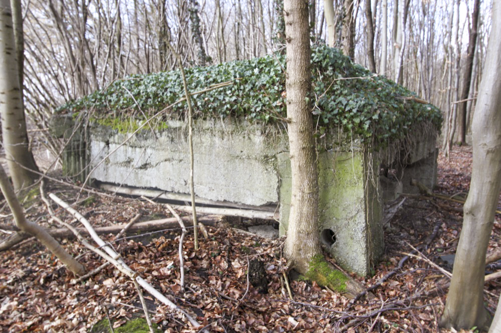 Ligne Maginot - Blockhaus de RAMELSHAUSEN 6 - Vue générale - Les Gardiens du Rhin
