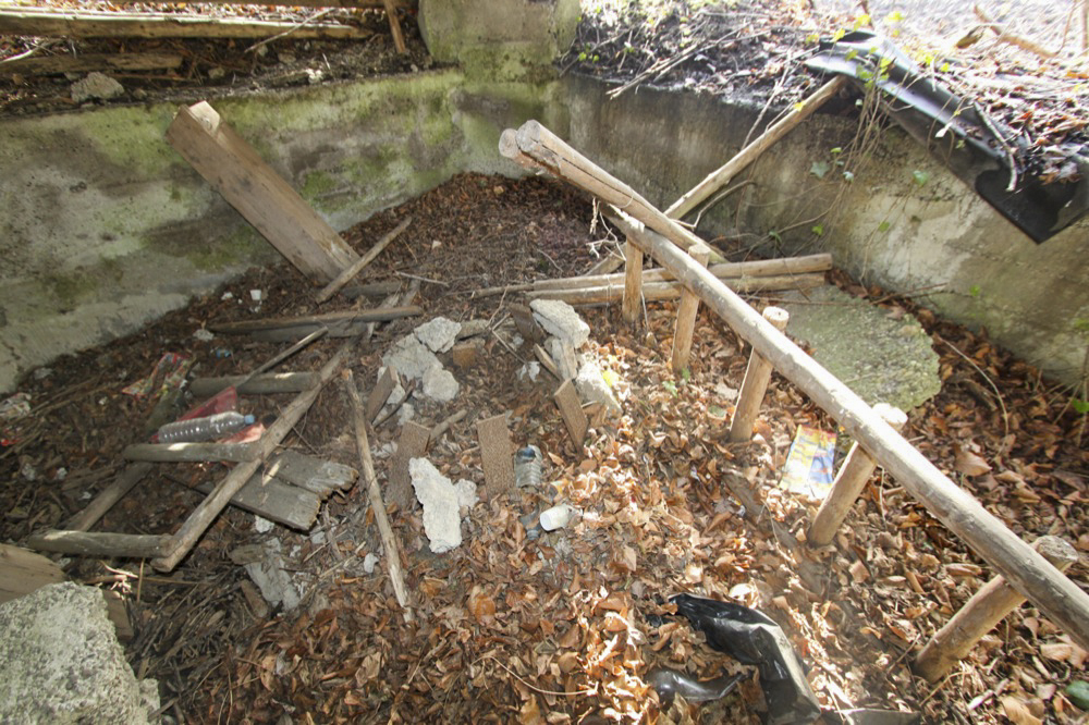 Ligne Maginot - Blockhaus de RAMELSHAUSEN 6 - Le vestige de la crinoline - Les Gardiens du Rhin