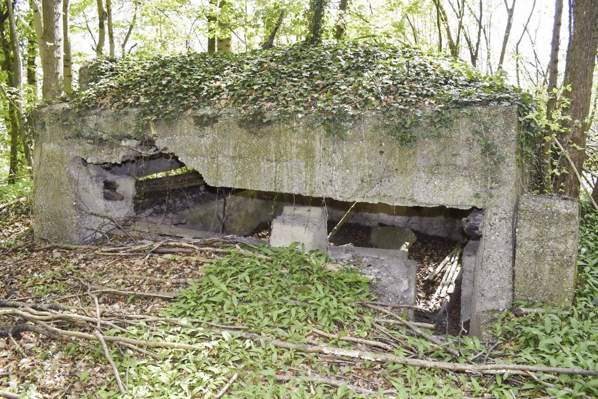 Ligne Maginot - Blockhaus de Ramelshausen 6 - Vue extérieure - D. Froehly