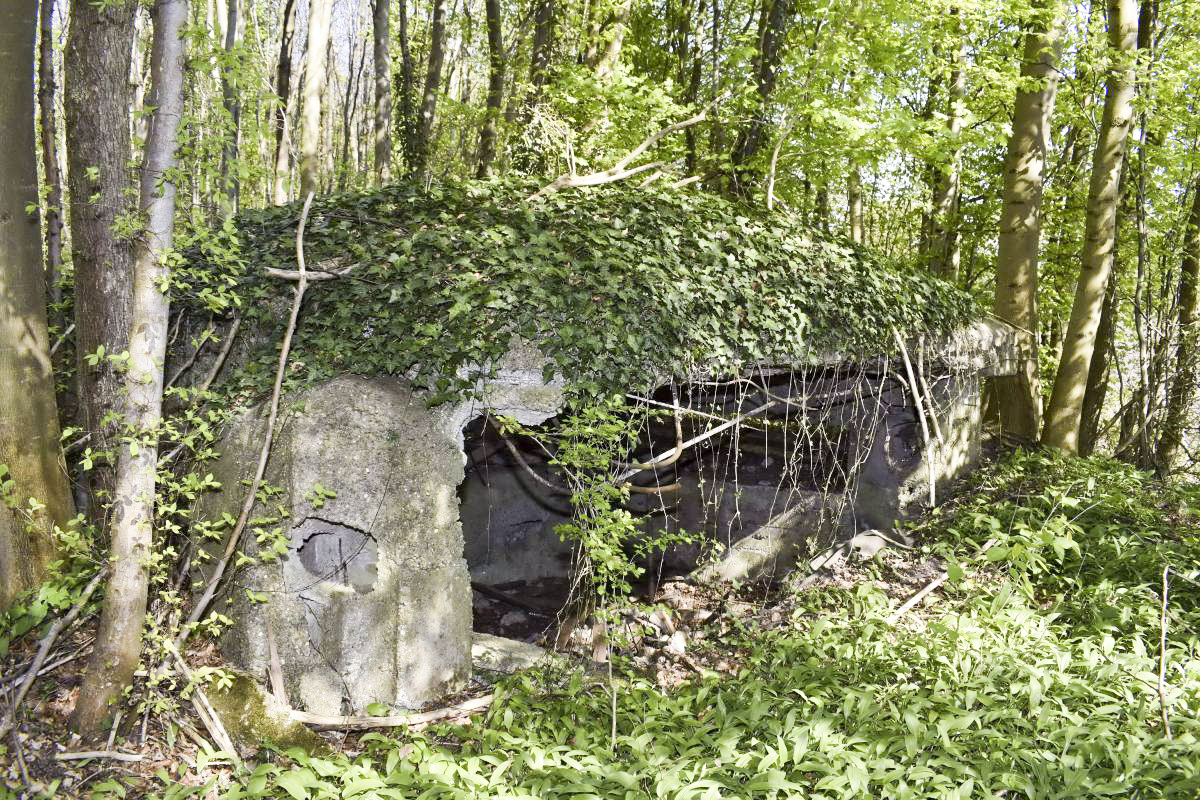 Ligne Maginot - Blockhaus de Ramelshausen 6 - Vue extérieure - D. Froehly