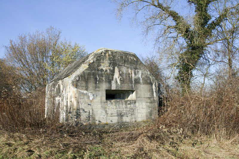 Ligne Maginot - RHEINSTUECK - (Blockhaus pour arme infanterie) -  - GRUBER Franck