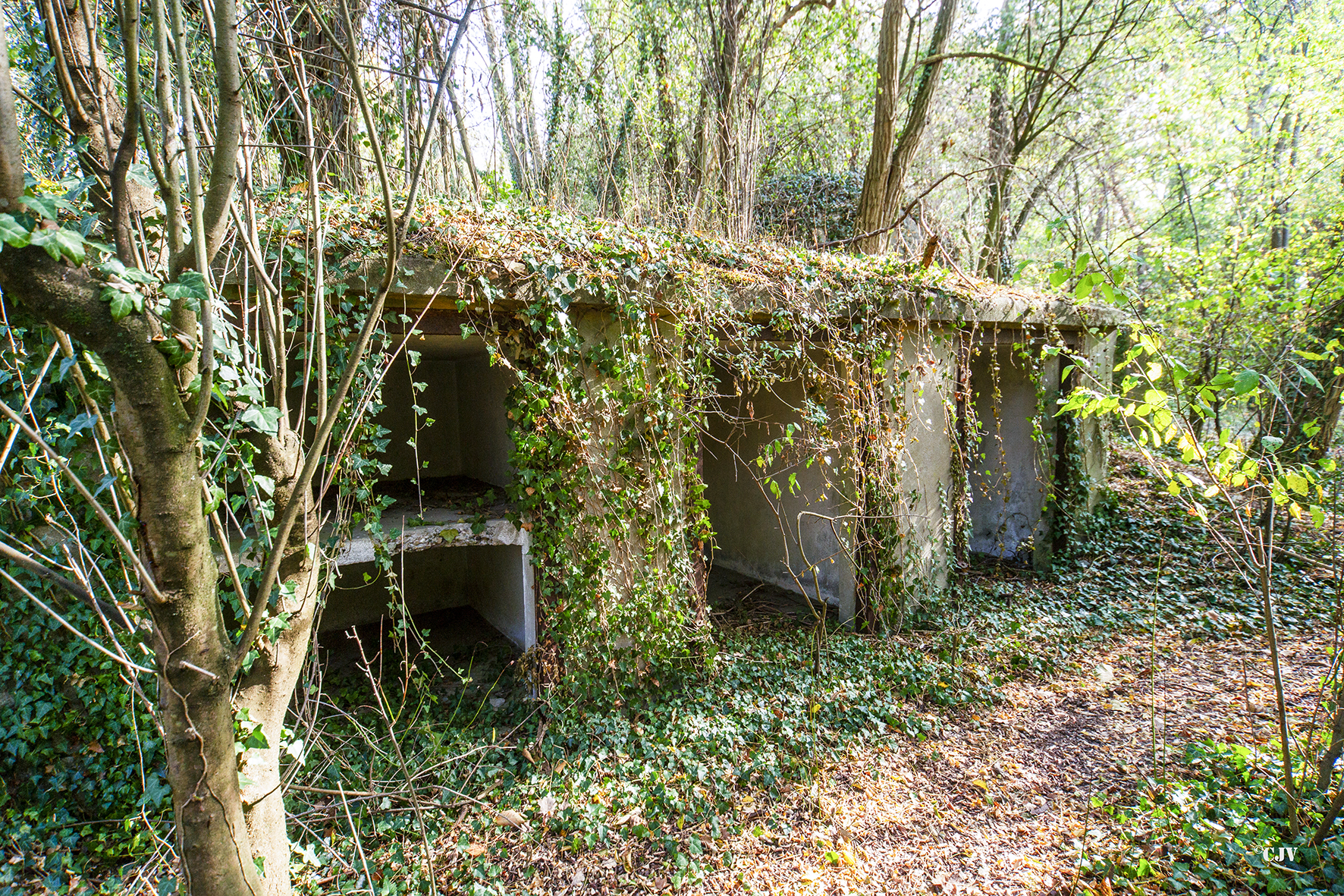 Ligne Maginot - ROUNTZENHEIM SUD - (Casemate d'infanterie) - Les niches pour les mines et barbelés - Lia VERMEULEN
