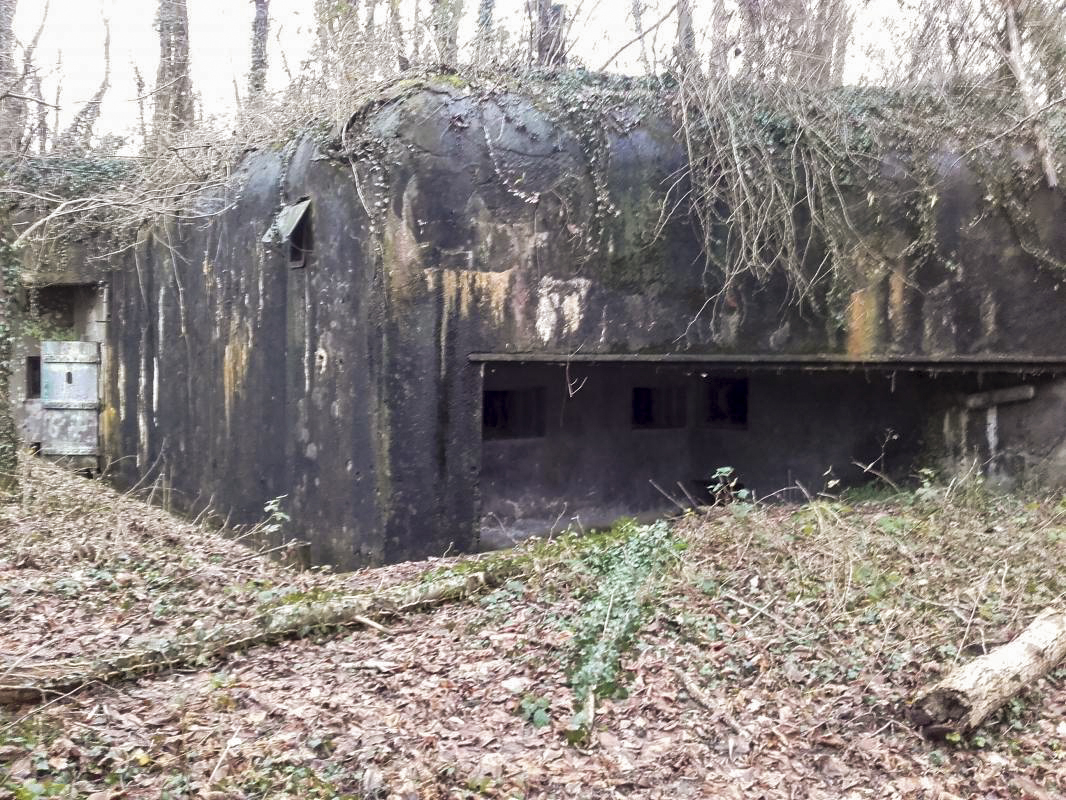 Ligne Maginot - ROUNTZENHEIM SUD - (Casemate d'infanterie) -  - Martz yannick