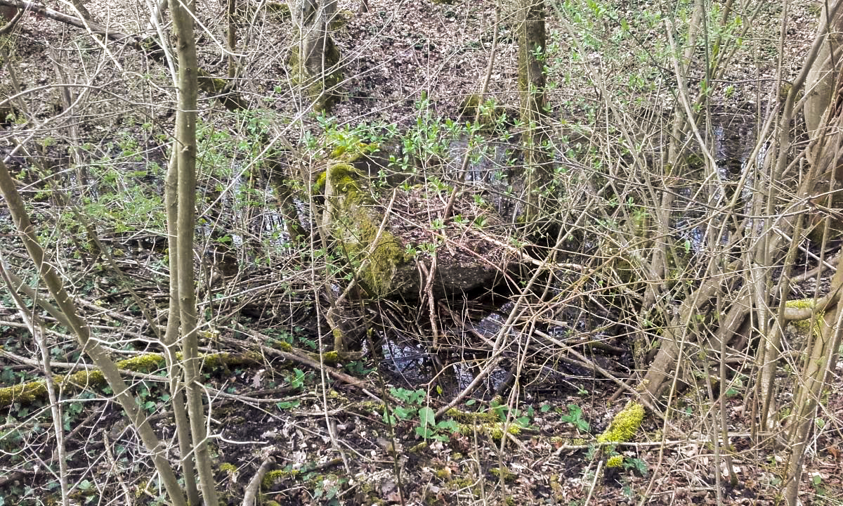 Ligne Maginot - ROUTE DE DALHUNDEN - (Blockhaus de type indéterminé) -  - Martz yannick
