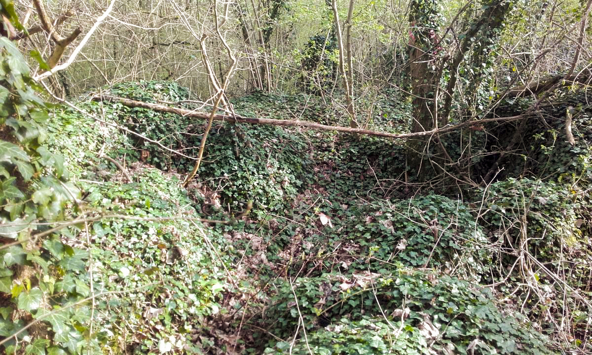 Ligne Maginot - ROUTE DE DALHUNDEN - (Blockhaus de type indéterminé) -  - Martz yannick