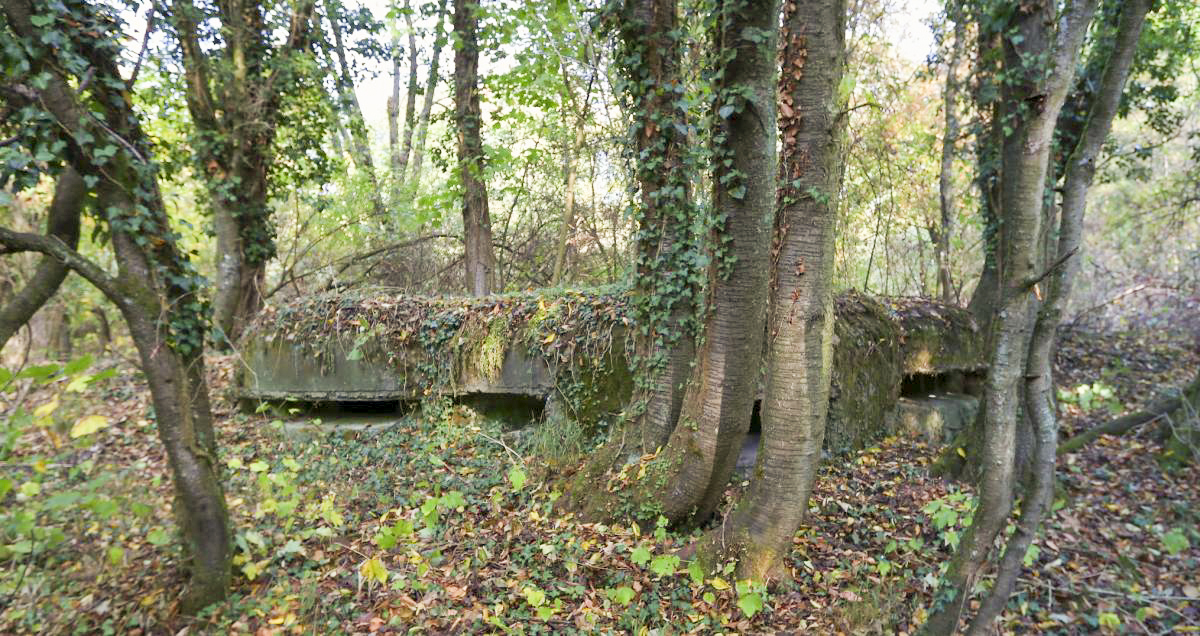 Ligne Maginot - SCHIRRHOFFEN 1 - (Blockhaus pour arme infanterie) -  - GRASSER Michel