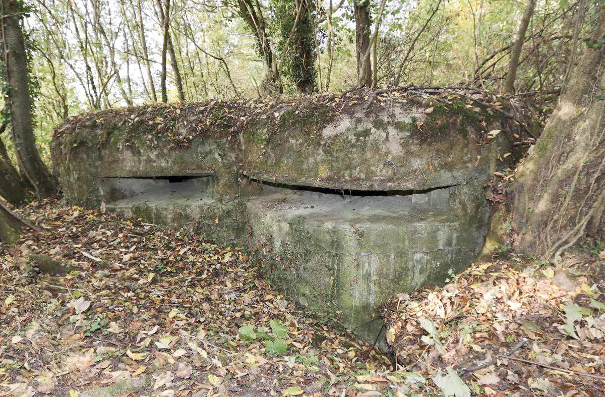 Ligne Maginot - SCHIRRHOFFEN 1 - (Blockhaus pour arme infanterie) -  - GRASSER Michel