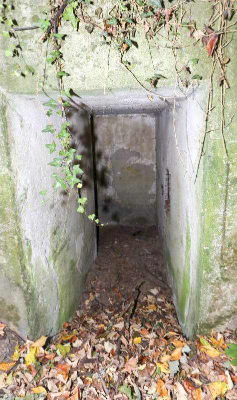 Ligne Maginot - SCHIRRHOFFEN 1 - (Blockhaus pour arme infanterie) -  - GRASSER Michel