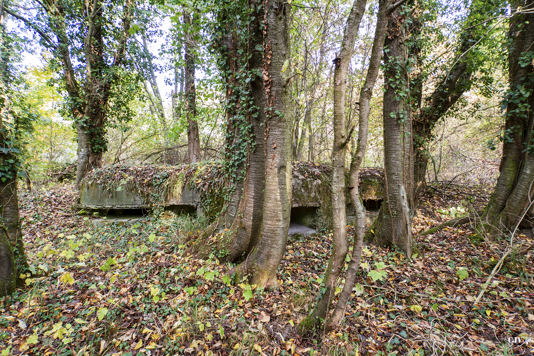 Ligne Maginot - SCHIRRHOFFEN 1 - (Blockhaus pour arme infanterie) -  - Lia VERMEULEN