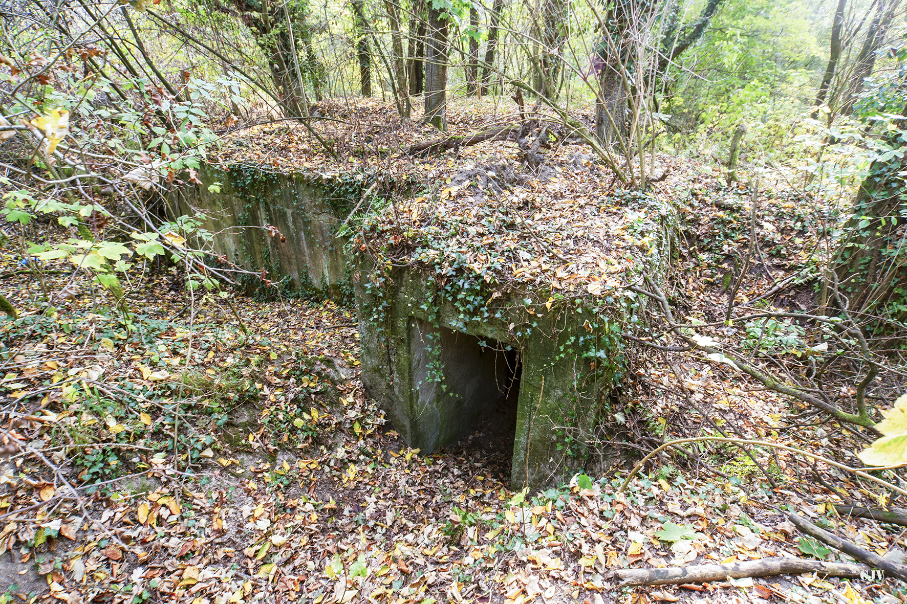Ligne Maginot - SCHIRRHOFFEN 1 - (Blockhaus pour arme infanterie) -  - Lia VERMEULEN