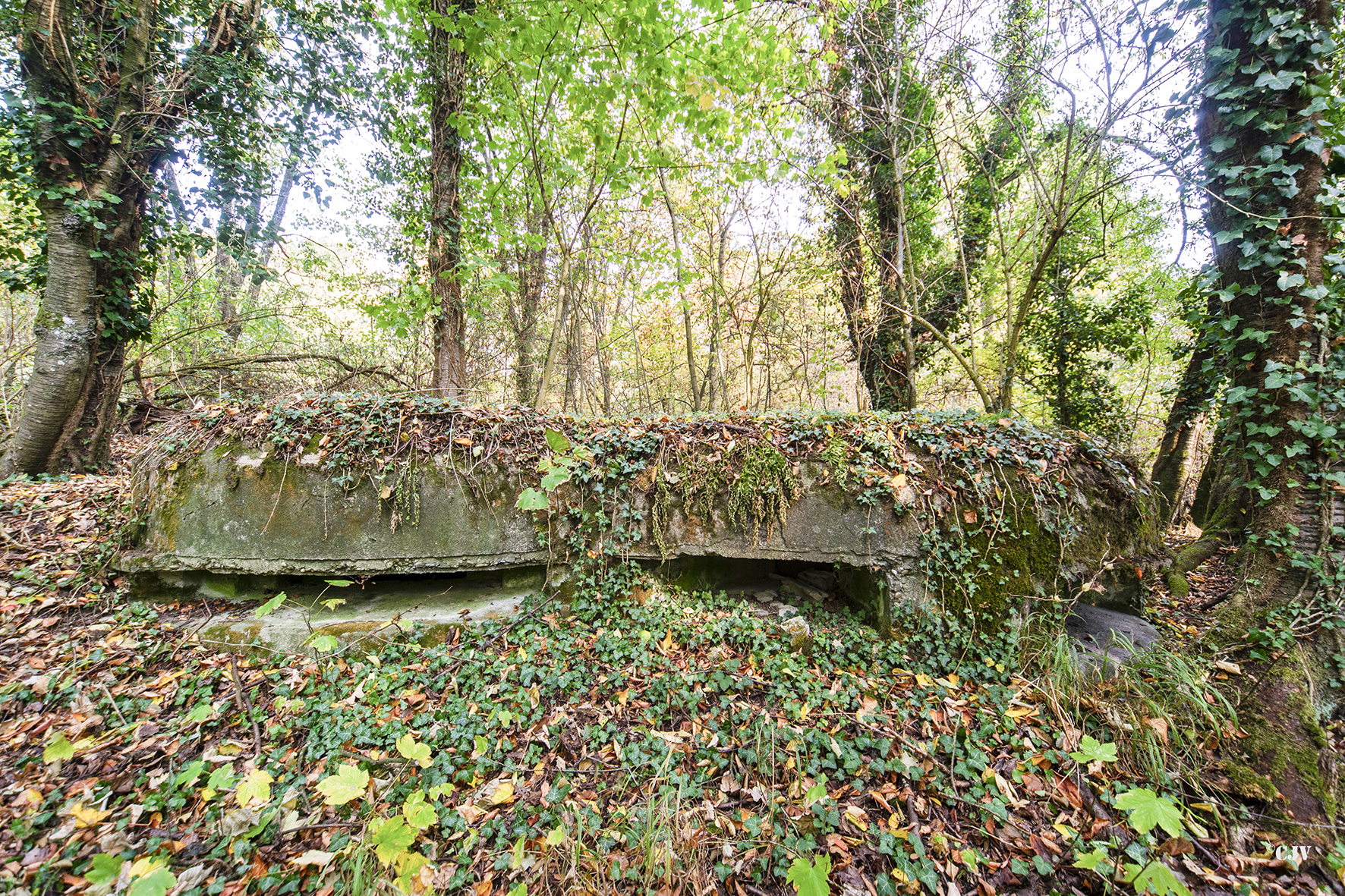 Ligne Maginot - SCHIRRHOFFEN 1 - (Blockhaus pour arme infanterie) -  - Lia VERMEULEN