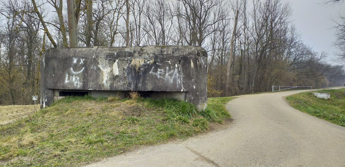 Ligne Maginot - WANTZENAU DIGUE 6 - (Blockhaus pour arme infanterie) - Entrée et créneau sud (remblayés) - Les Gardiens du Rhin