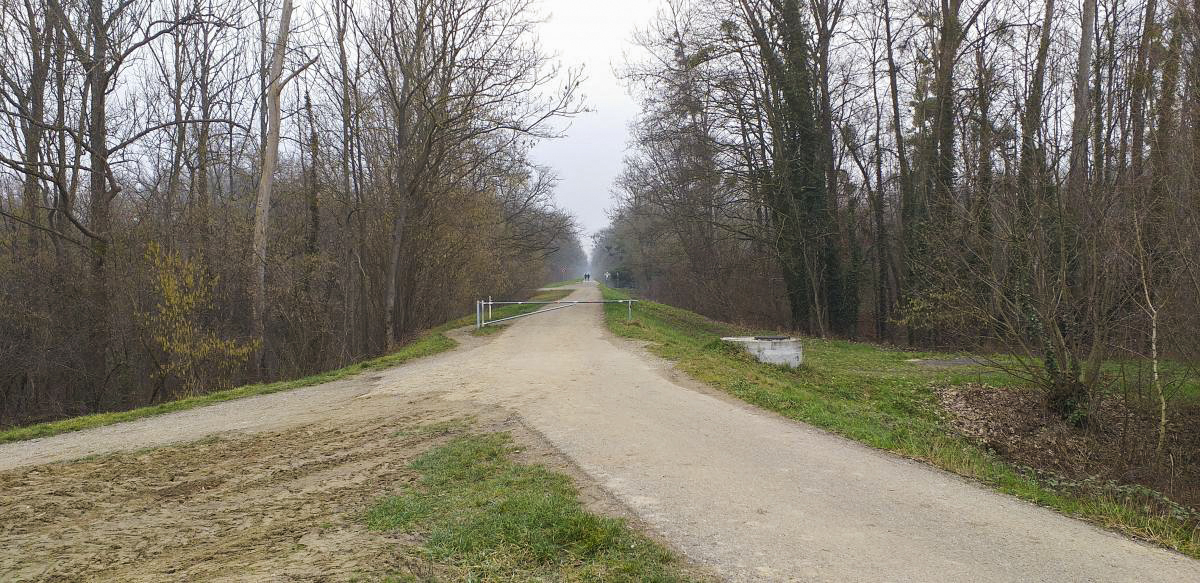 Ligne Maginot - 3 - WANTZENAU DIGUE 6 (Blockhaus pour arme infanterie) - Direction de tir créneau nord-est - Les Gardiens du Rhin