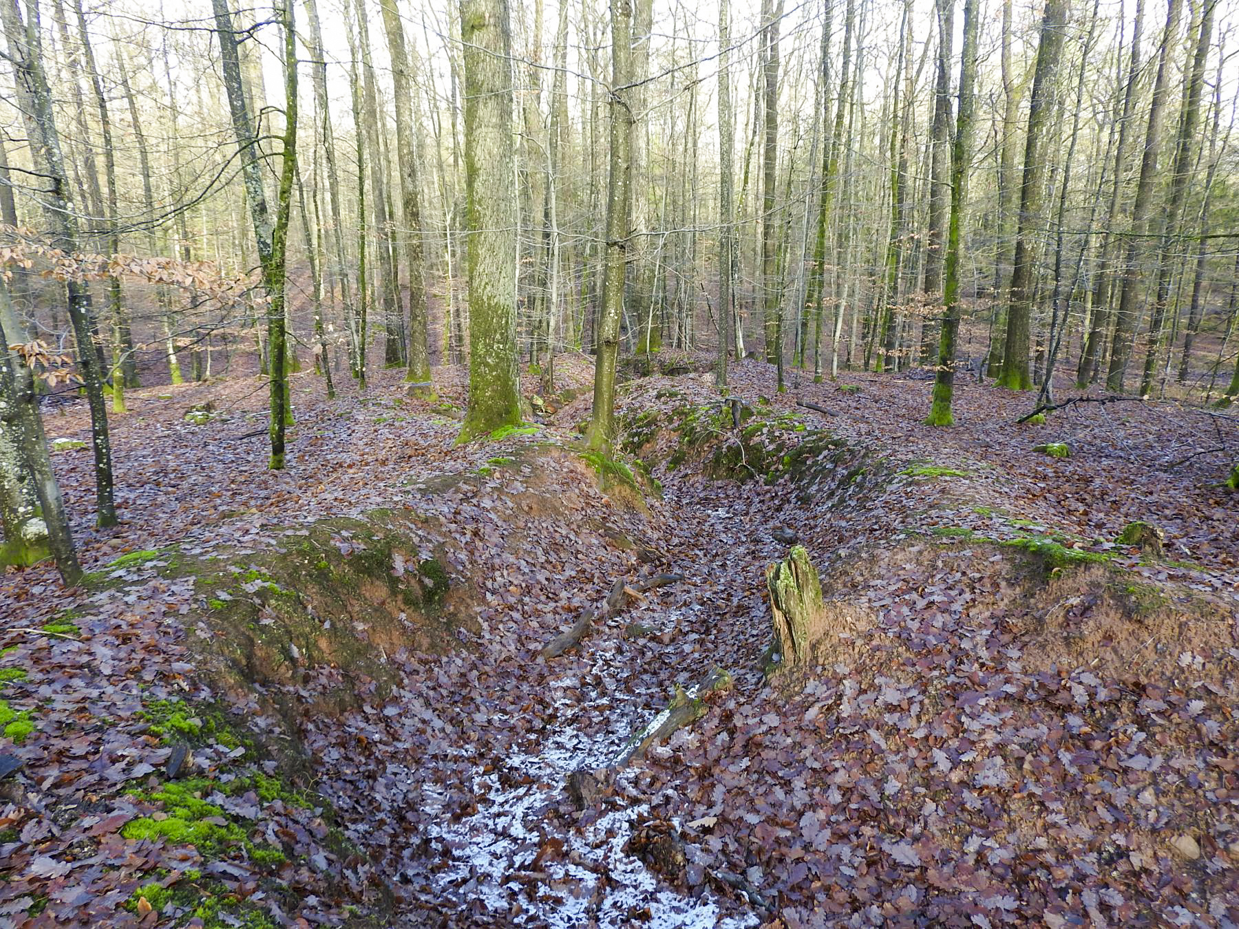 Ligne Maginot - PFAFFENBERG - (PC de Quartier) - Des tranchées - STENGER Mathieu