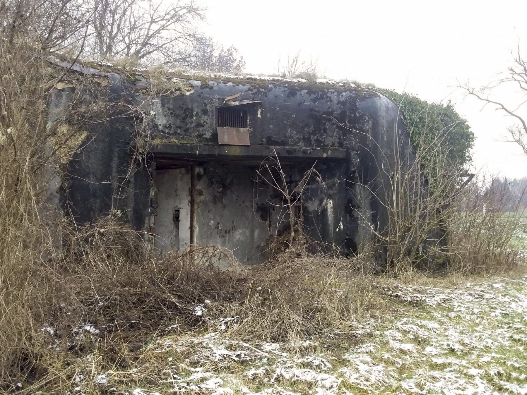 Ligne Maginot - 31/3 - SAASENHEIM - (Casemate d'infanterie - Double) -  - Joel Muntzinger