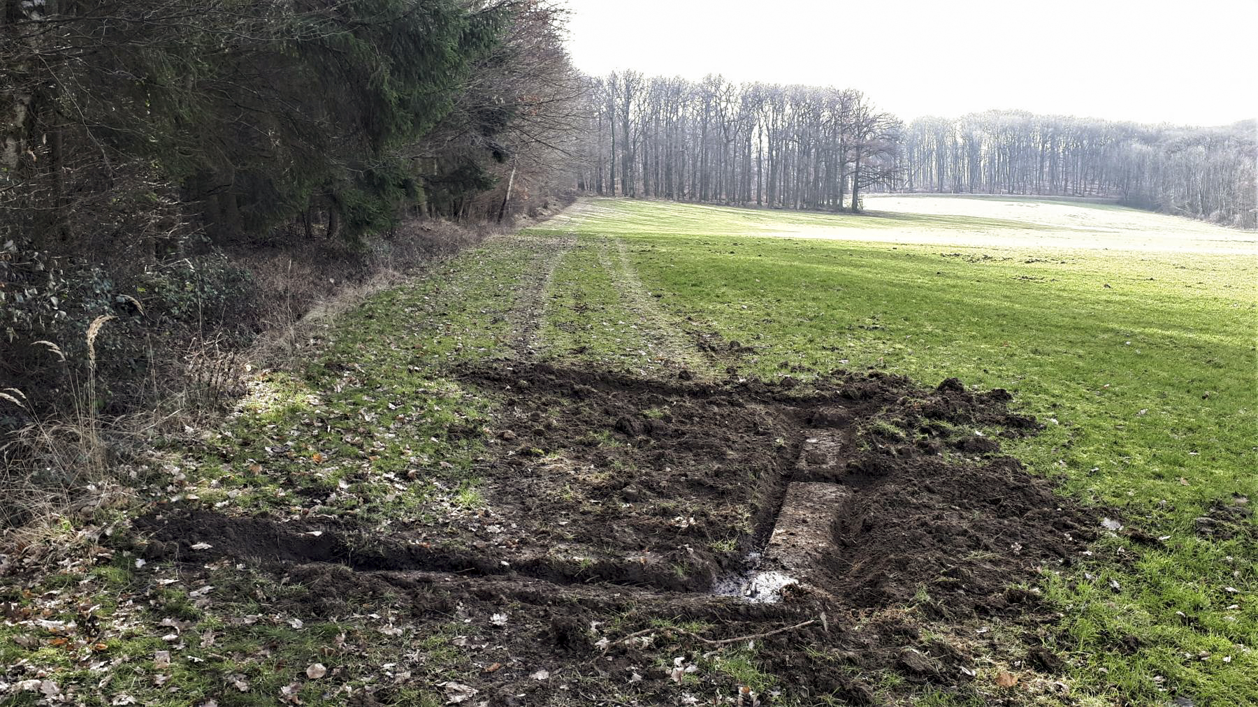 Ligne Maginot - OBERWALD 4 - (Cuve pour canon) -  - Gregory Fuchs