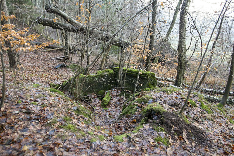 Ligne Maginot - HOCHWALD Ouest 4 ( Cuve pour arme d'infanterie ) -  - GRUBER Franck