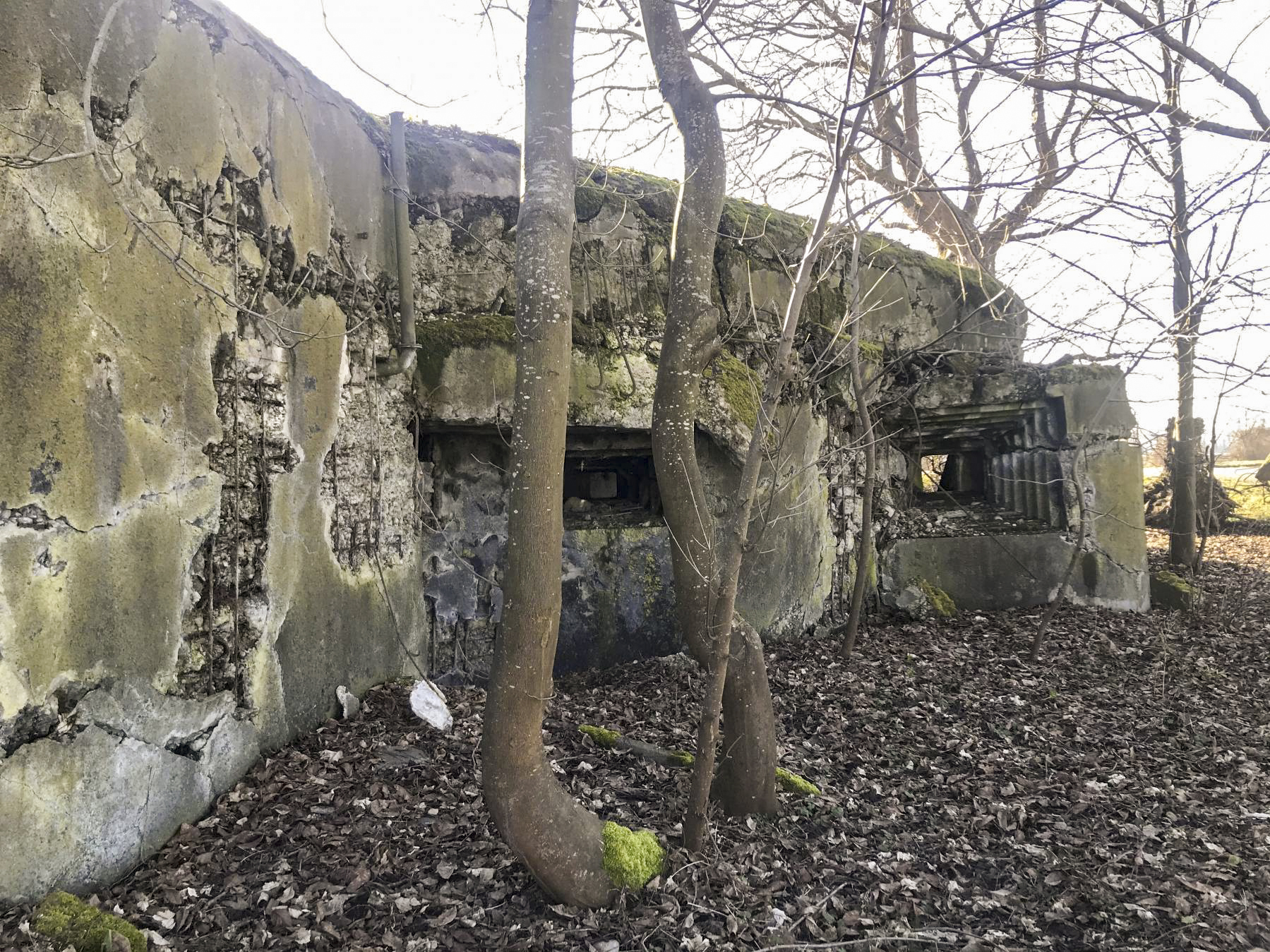 Ligne Maginot - 30/3 - ESPEREINWALD SUD - (Casemate d'infanterie - Double) -  - A. SCHOEN