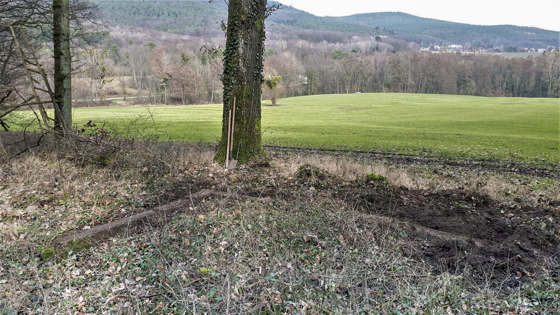 Ligne Maginot - OBERWALD 2 - (Cuve pour canon) -  - Gregory Fuchs