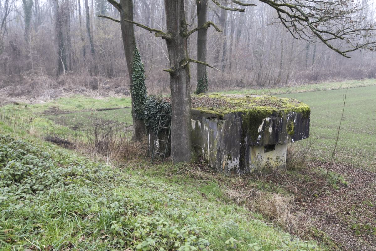 Ligne Maginot - 7 - WANTZENAU DIGUE 4 - (Blockhaus pour arme infanterie) -  - A. SCHOEN