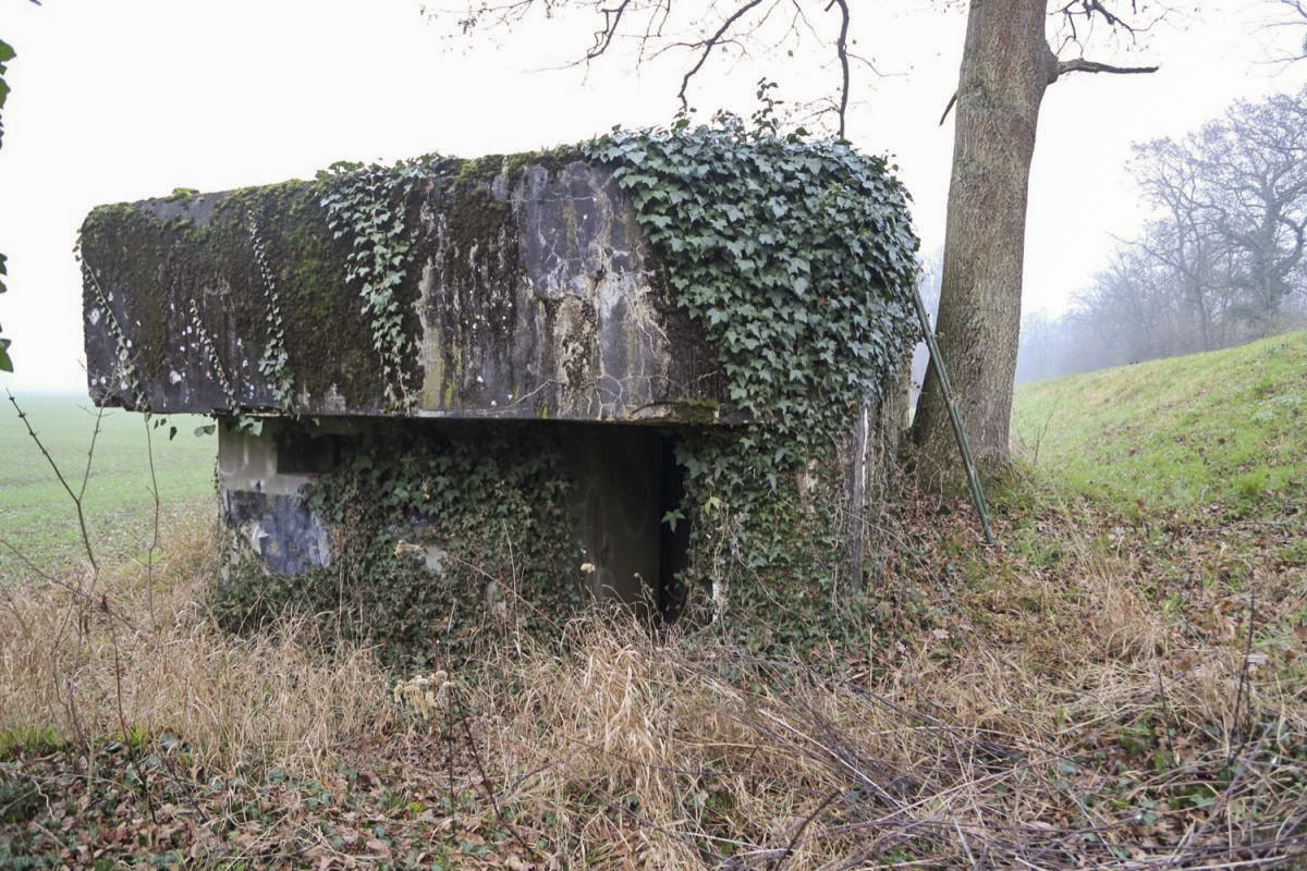 Ligne Maginot - 7 - WANTZENAU DIGUE 4 - (Blockhaus pour arme infanterie) -  - A. SCHOEN